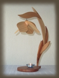 Modellreihe Falterblume 4